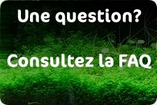 Foire aux Questions