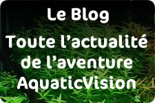 Le Blog